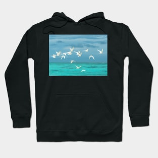 BIRDS ON THE SEA DESIGN Hoodie